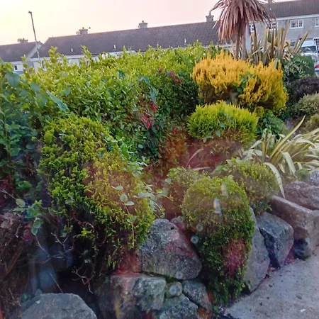 בית אירוח 56 Lower Mount Carmel