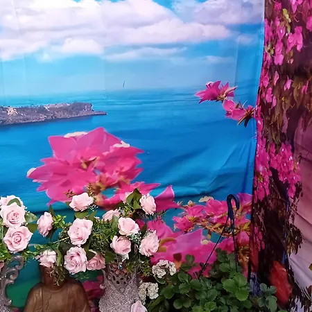 56 Lower Mount Carmel منزل للإقامة *