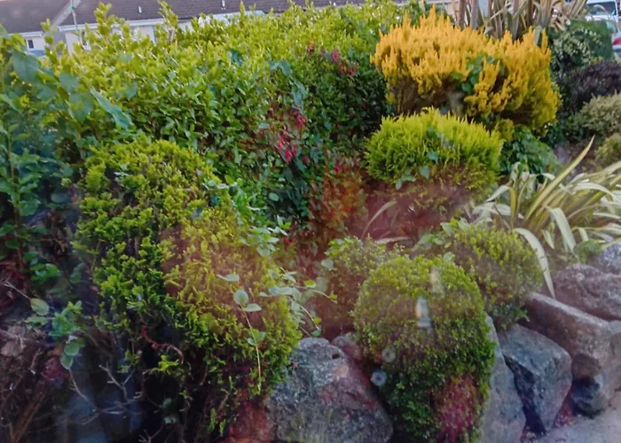 Séjour chez l'habitant 56 Lower Mount Carmel