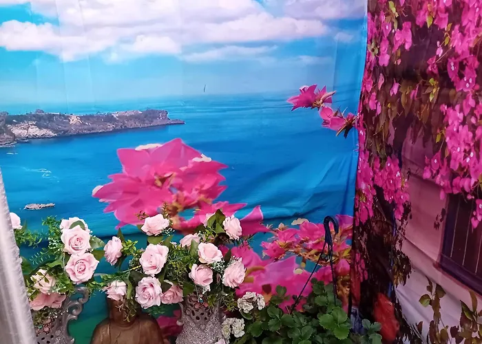 56 Lower Mount Carmel 民宿 *